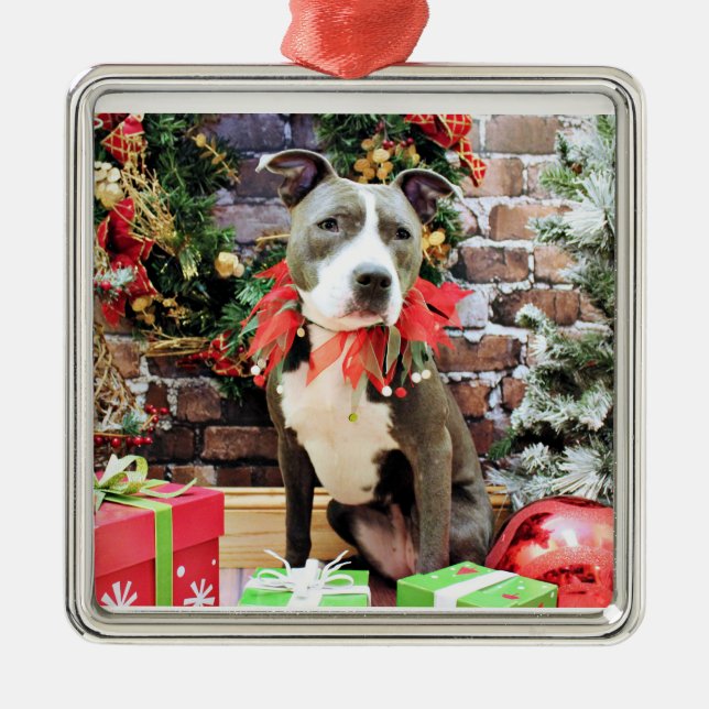 Jul - Pitbull - berlock Julgransprydnad Metall (Framsidan)