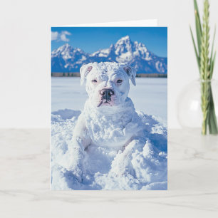 Jul Pitbull Hund Snögubbe Anteckningskort