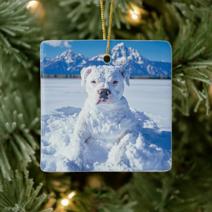 Jul Pitbull Hund Snögubbe Julgransprydnad Keramik