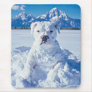 Jul Pitbull Hund Snögubbe Musmatta