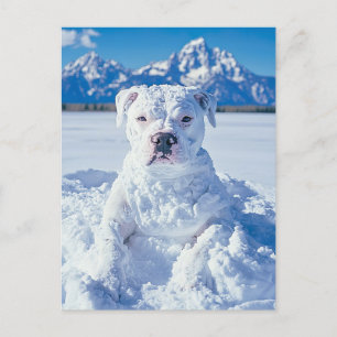 Jul Pitbull Hund Snögubbe Vykort