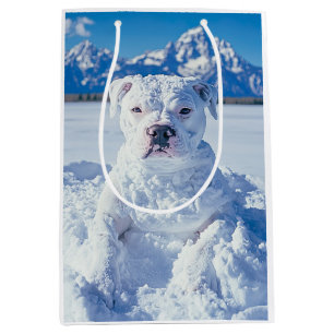 Jul Pitbull Hund Snöman