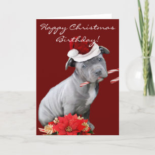 Jul Pitbull-valp Helgkort
