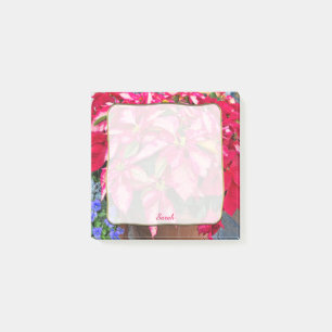 Jul Poinsettia Abstrakt Floral Fotografi Post-it Block