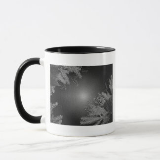 Jul Poinsettia Black och Grått I Mugg