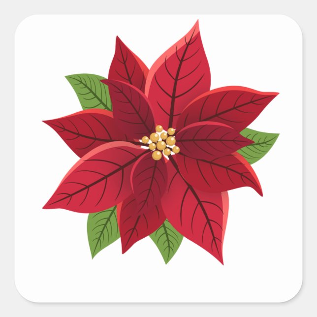 Jul Poinsettia Fyrkantigt Klistermärke (Framsida)