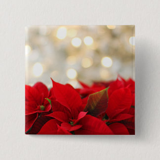 Jul Poinsettia Knapp