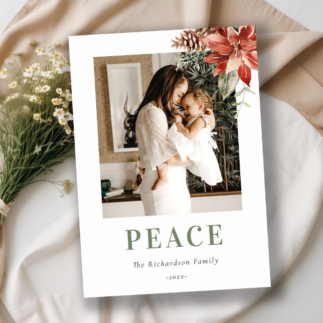 Jul Poinsettia Knippe Foto Akvarell Fred Julkort (Skapare uppladdad)