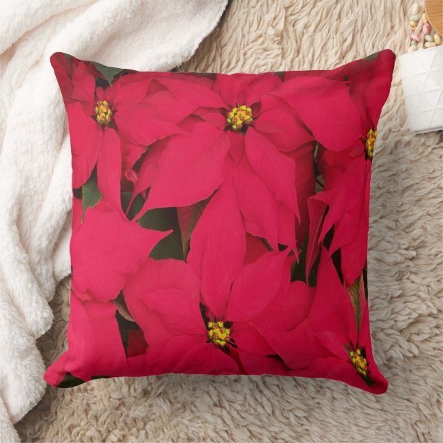Jul Poinsettia Kudde (Filt)