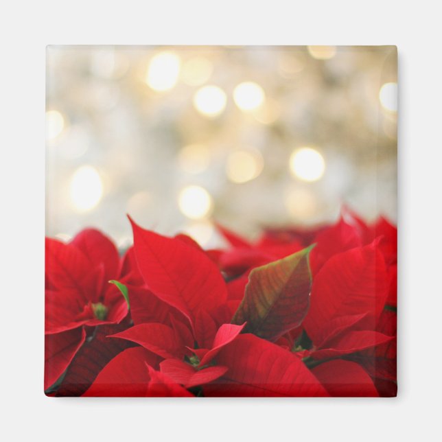 Jul Poinsettia Magnet (Framsidan)