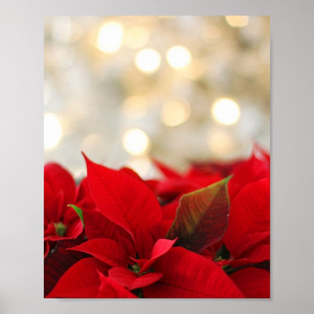 Jul Poinsettia Poster (Framsidan)