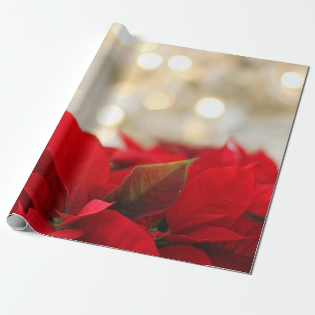 Jul Poinsettia Presentpapper (Utrullad)
