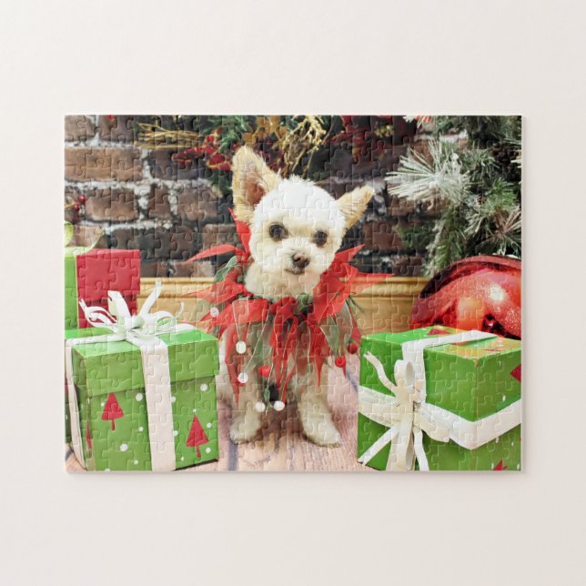 Jul - Pomeranian X - daisy Pussel (Horisontell)