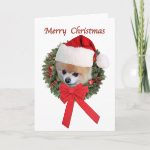 Jul, Pommern Hund, Santa Hat Helgkort