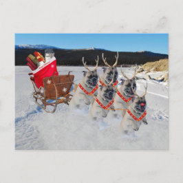 Jul Pug Hundar Pulling a Sleigh Helg Vykort