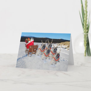 Jul Pug Hundar Pulling a Sleigh Helgdag Card Helgkort