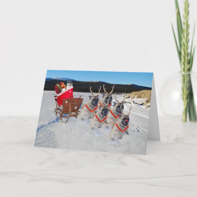 Jul Pug Hundar Pulling a Sleigh Helgdag Card Helgkort (Framsida)