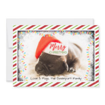 Jul Pug i Santa mössa med julbelysning