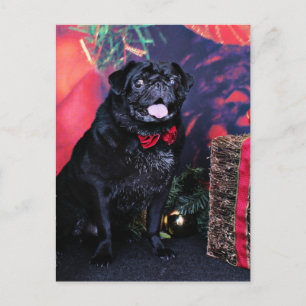 Jul - Pug - Little Moe Helg Vykort