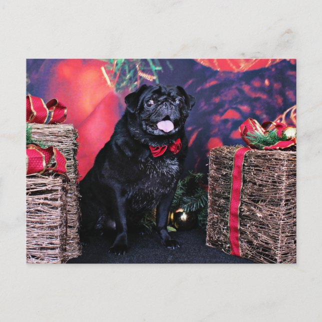 Jul - Pug - Little Moe Helg Vykort (Framsida)