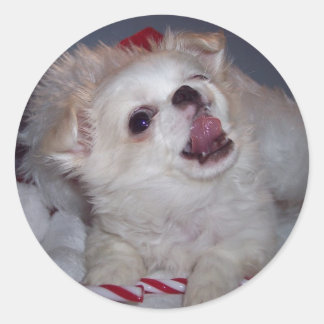 Jul Puppy Stickers Runt Klistermärke
