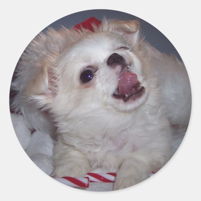 Jul Puppy Stickers Runt Klistermärke (Framsida)