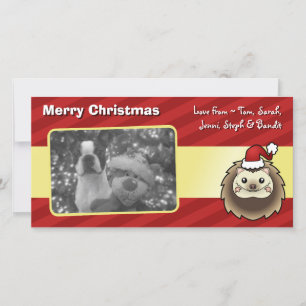 Jul Pygmy Hedgehog Julkort