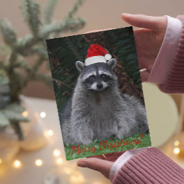 Jul Raccoon i Santa Hat Photo Helgkort