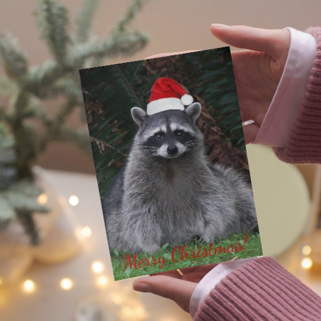 Jul Raccoon i Santa Hat Photo Helgkort (In Situ)