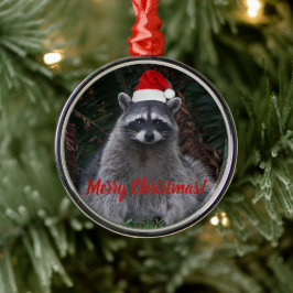 Jul Raccoon i Santa Hat Photo Julgransprydnad Metall