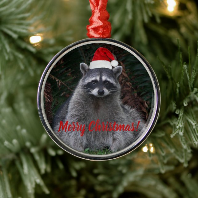 Jul Raccoon i Santa Hat Photo Julgransprydnad Metall (Träd)