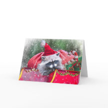Jul Raccoon lounging in Santa's Sleigh
