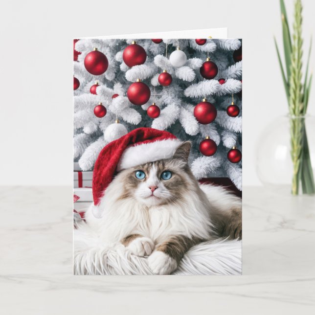 Jul Ragdoll Cat i Santa Hat Kort (Framsida)