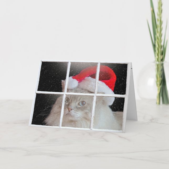 Jul Ragdoll Cat in Window Helgkort (Framsida)