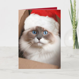 Jul Ragdoll Katt i Kartonglåda Kort
