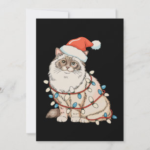 Jul Ragdoll Söt Katt Tomte Hatt Xmas Ljus Julkort