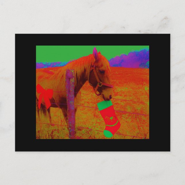 Jul Rainbow Horse Helg Vykort (Framsida)