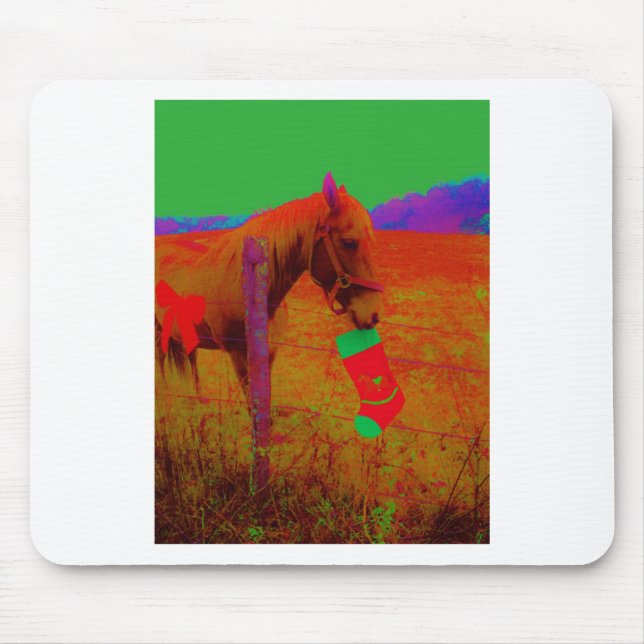 Jul Rainbow Horse Musmatta (Framsidan)