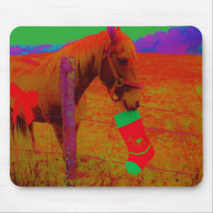 Jul Rainbow Horse Musmatta