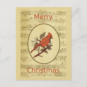 Jul Red Bird Cardinal Music Helg Vykort