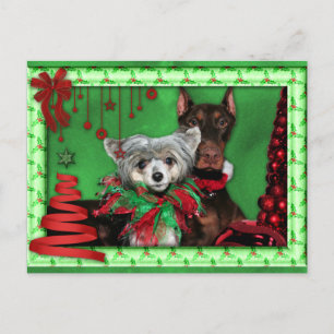 Jul - Red Ribbon Träd - Doberman Crestie Helg Vykort
