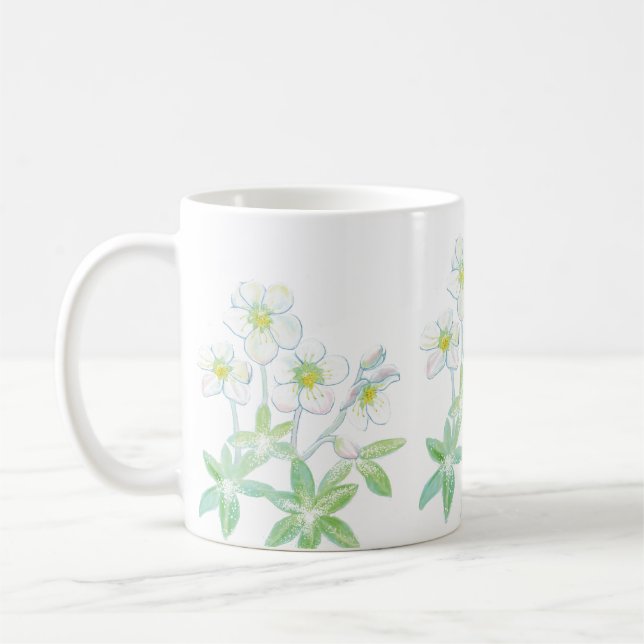 Jul ro, Helleborus niger Kaffemugg (Vänster)