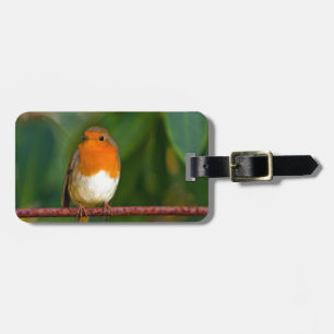 jul Robin Bagagebricka