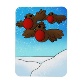 jul Robin Birds Magnet