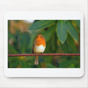 jul Robin Musmatta