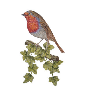 Jul robin och murgrönalövillustration slips