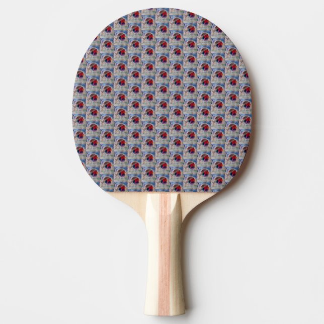 jul Robin Pingisracket (Framsidan)