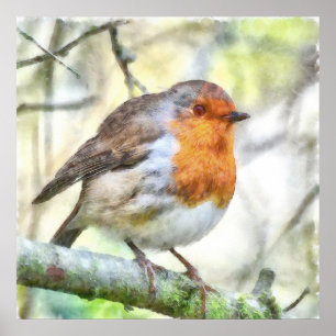 jul Robin Redbröst Winter Watercolor Poster