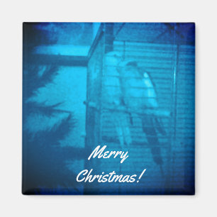 Jul Romantik Magnet