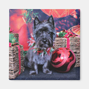 Jul - röseTerrier - juvel Magnet